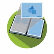 graph in book green icon